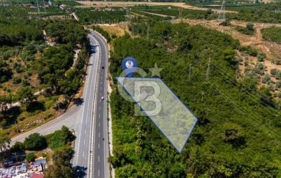 CB MARİNA'DAN AKÇAPINAR'DA GÖKOVA-MARMARİS YOLU ÜZERİ ZEYTİNLİK