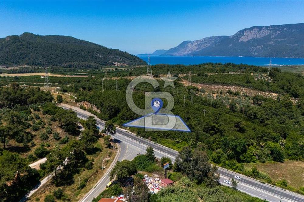 CB MARİNA'DAN AKÇAPINAR'DA GÖKOVA-MARMARİS YOLU ÜZERİ ZEYTİNLİK