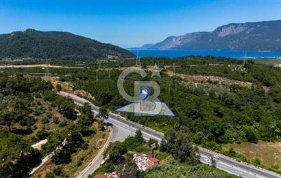 CB MARİNA'DAN AKÇAPINAR'DA GÖKOVA-MARMARİS YOLU ÜZERİ ZEYTİNLİK