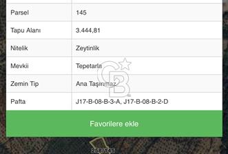 BURHANİYE PELİTKÖY' DE 3445 METREKARE VERİMLİ ZEYTİNLİK - 11 - 375388