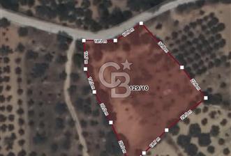 DAĞKIZILCA’DA 36m YOL CEPHESİNE SAHİP - 30 ZEYTİN & 50 İNCİR AĞAÇLI - 3.124 m² - 9 - 375809