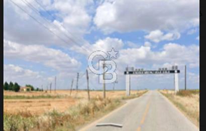 TEKİRDAĞ ERGENE MİSİNALİ DE 332 M² İFRAZLI 3 KAT İMARLI ARSA