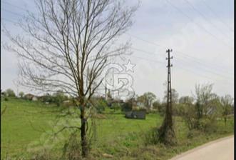 KÖRFEZ KUTLUCA'DA ASFALT YOLA CEPHELİ %30 İMARLI 2.768 M² ARAZİ - 6 - 375826