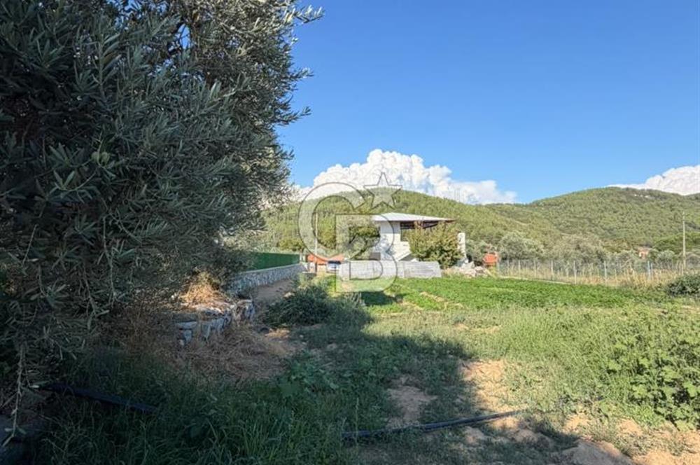 Menteşe Doğanköy’de Köy Yerleşik Alan İçerisinde, 597 m² İmarlı Arsa