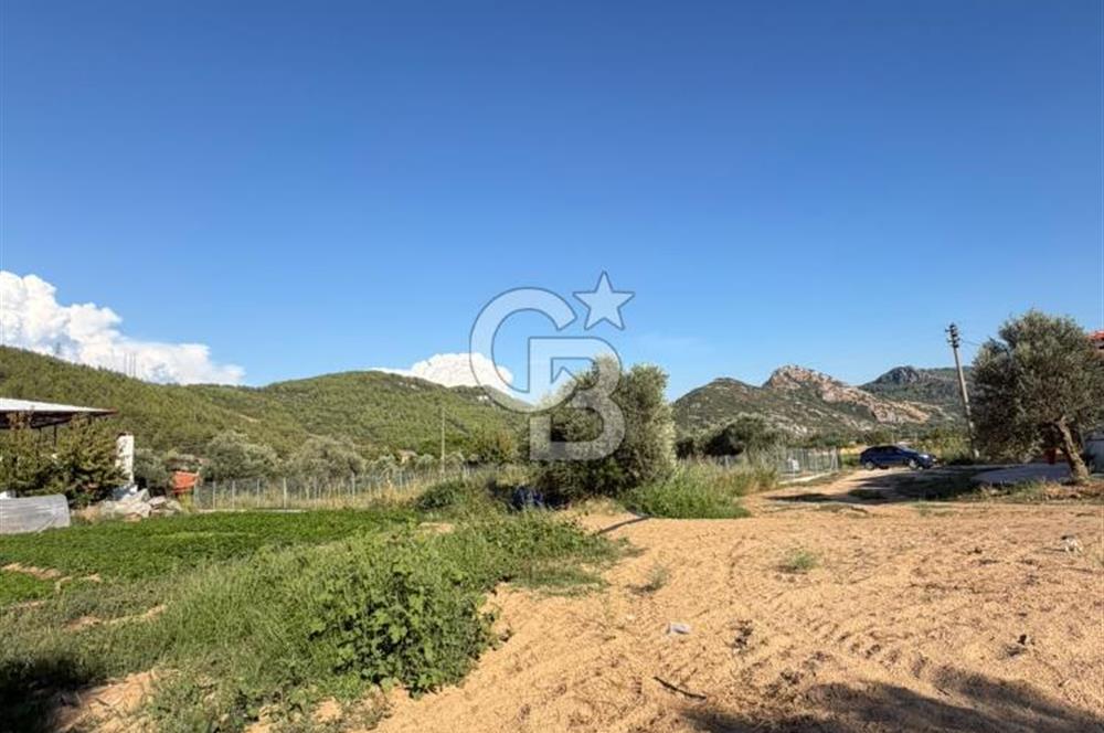 Menteşe Doğanköy’de Köy Yerleşik Alan İçerisinde, 597 m² İmarlı Arsa
