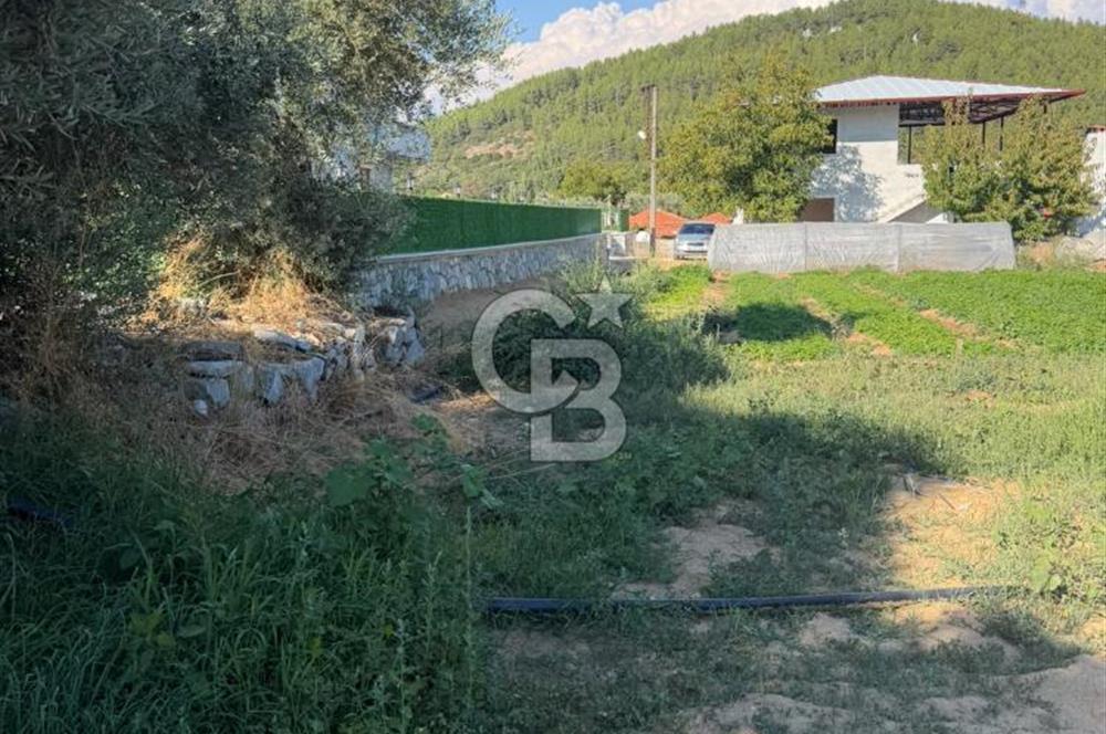 Menteşe Doğanköy’de Köy Yerleşik Alan İçerisinde, 597 m² İmarlı Arsa