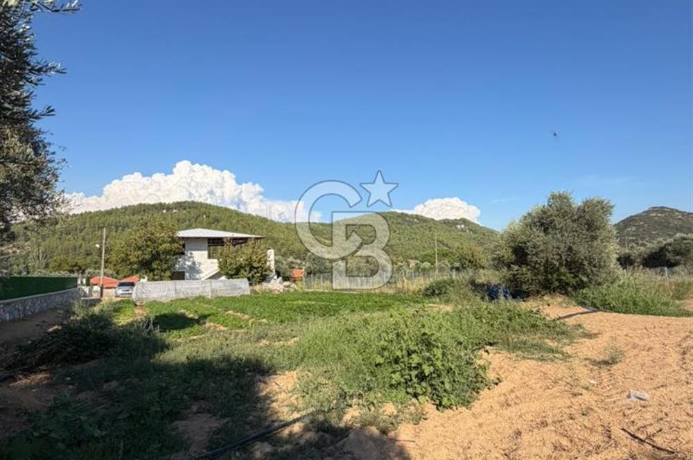 Menteşe Doğanköy’de Köy Yerleşik Alan İçerisinde, 597 m² İmarlı Arsa