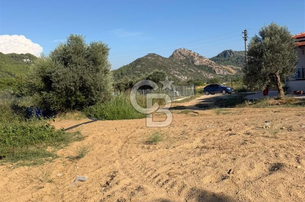 Menteşe Doğanköy’de Köy Yerleşik Alan İçerisinde, 597 m² İmarlı Arsa