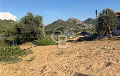 Menteşe Doğanköy’de Köy Yerleşik Alan İçerisinde, 597 m² İmarlı Arsa