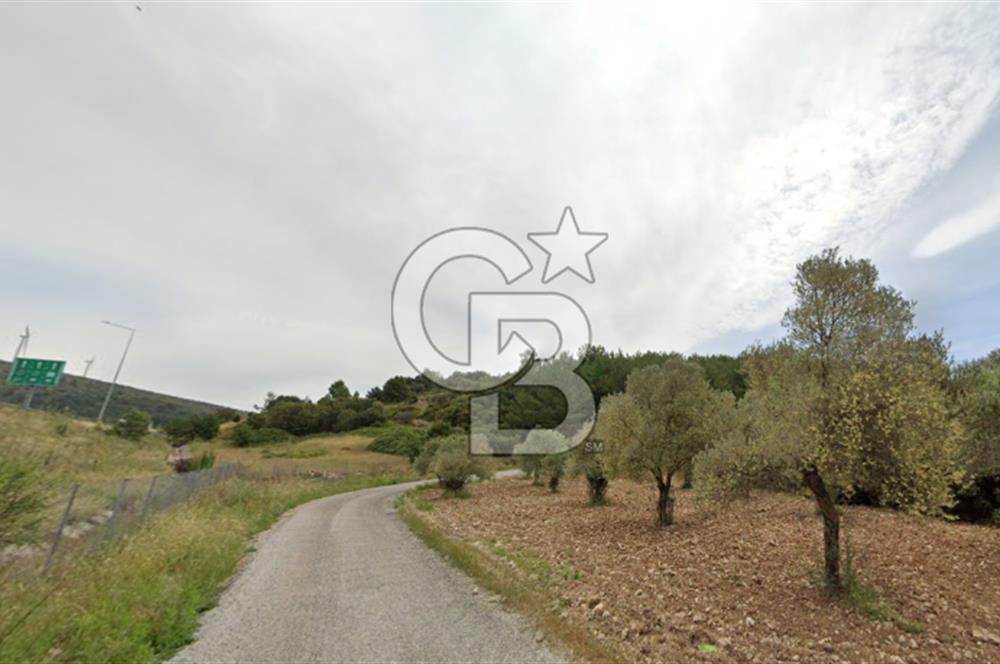 URLA ZEYTİNLER KÖYÜ KIZILYAKA MEVKİİNDE SATILIK 5.863 M2 TARLA