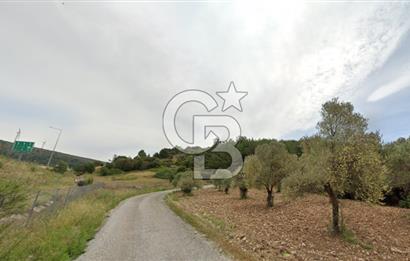 URLA ZEYTİNLER KÖYÜ KIZILYAKA MEVKİİNDE SATILIK 5.863 M2 TARLA