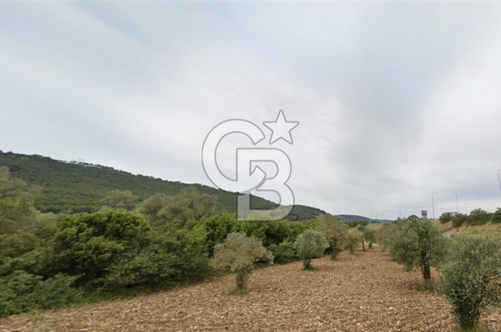 URLA ZEYTİNLER KÖYÜ KIZILYAKA MEVKİİNDE SATILIK 5.863 M2 TARLA