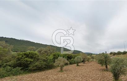 URLA ZEYTİNLER KÖYÜ KIZILYAKA MEVKİİNDE SATILIK 5.863 M2 TARLA