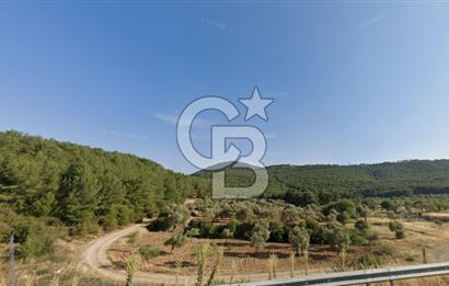 URLA ZEYTİNLER KÖYÜ KIZILYAKA MEVKİİNDE SATILIK 5.863 M2 TARLA