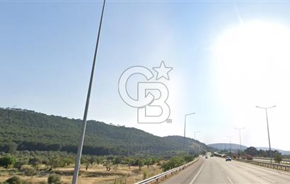 URLA ZEYTİNLER KÖYÜ KIZILYAKA MEVKİİNDE SATILIK 5.863 M2 TARLA