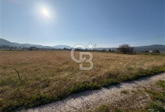 URLA ZEYTİNLER KÖYÜNDE SATILIK 4.998 M2 TEK TAPULU TARLA - 3 - 375847