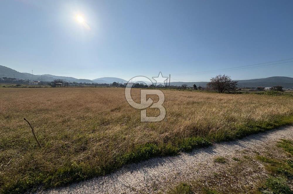 URLA ZEYTİNLER KÖYÜNDE SATILIK 4.998 M2 TEK TAPULU TARLA