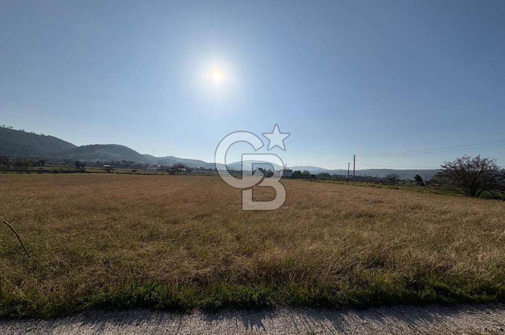 URLA ZEYTİNLER KÖYÜNDE SATILIK 4.998 M2 TEK TAPULU TARLA