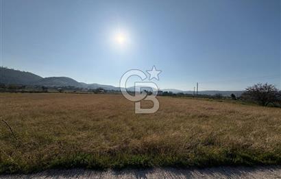 URLA ZEYTİNLER KÖYÜNDE SATILIK 4.998 M2 TEK TAPULU TARLA