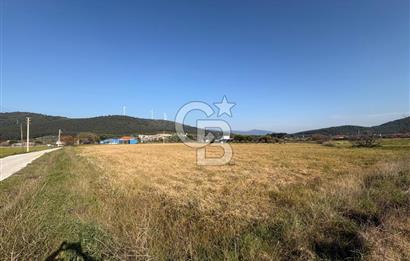 URLA ZEYTİNLER KÖYÜNDE SATILIK 4.998 M2 TEK TAPULU TARLA