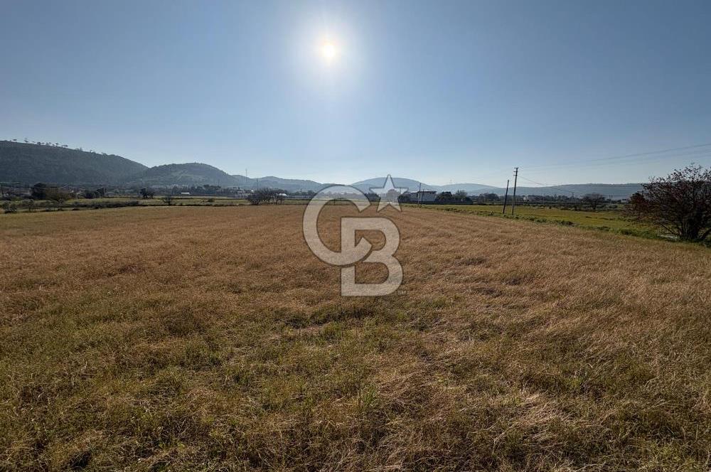URLA ZEYTİNLER KÖYÜNDE SATILIK 4.998 M2 TEK TAPULU TARLA