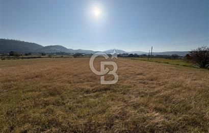 URLA ZEYTİNLER KÖYÜNDE SATILIK 4.998 M2 TEK TAPULU TARLA
