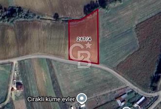Körfez Çıraklı'da Yola Cepheli 5.713 m² Satılık Müstakil Tarla - 2 - 375844