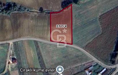 Körfez Çıraklı'da Yola Cepheli 5.713 m² Satılık Müstakil Tarla
