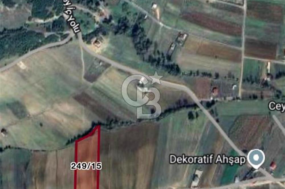 Körfez Cuma'da 7.826 m² Yola Cepheli Satılık Müstakil Tarla