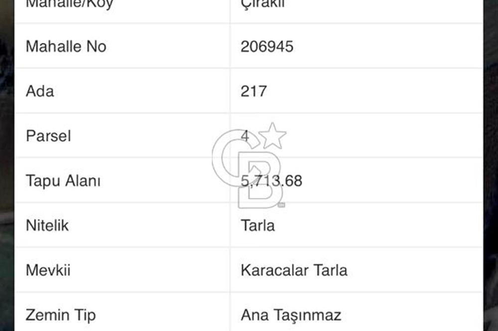 Körfez Çıraklı'da Yola Cepheli 5.713 m² Satılık Müstakil Tarla