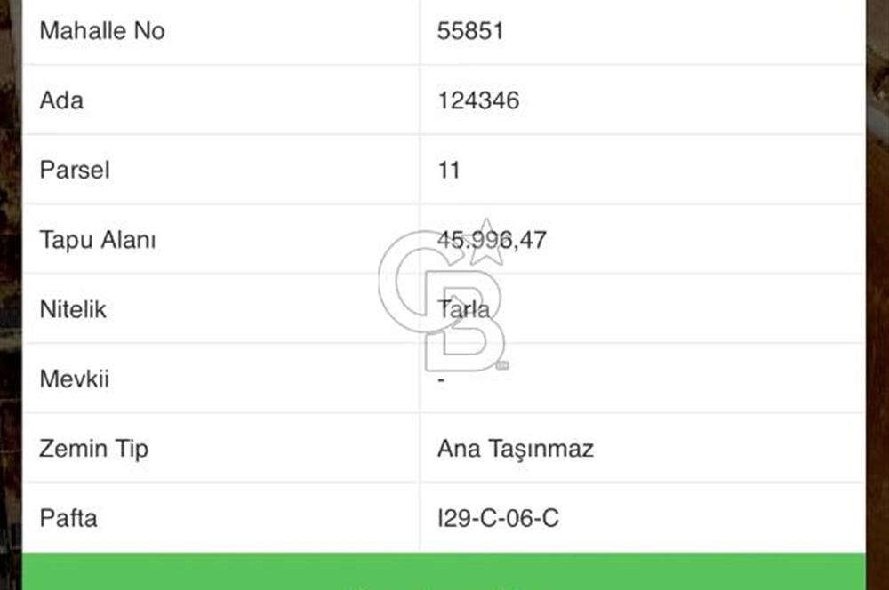 CB NEWYAŞAM' DAN KÖK TAPULU SATILIK YATIRIMLIK TARLA