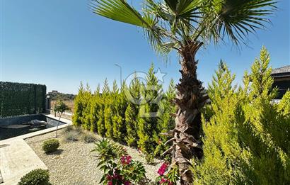 Kuşadası Davutlar’da Havuzlu 4+1 Satılık Lüks Villa 