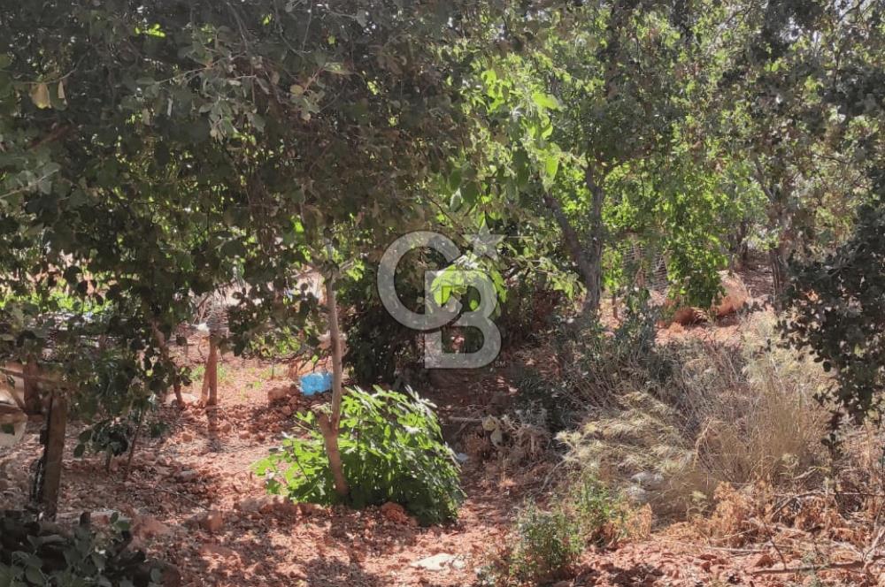 Kaş Bezirgan Villalar Bölgesinde Ana Yola Cepheli
