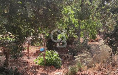 Kaş Bezirgan Villalar Bölgesinde Ana Yola Cepheli