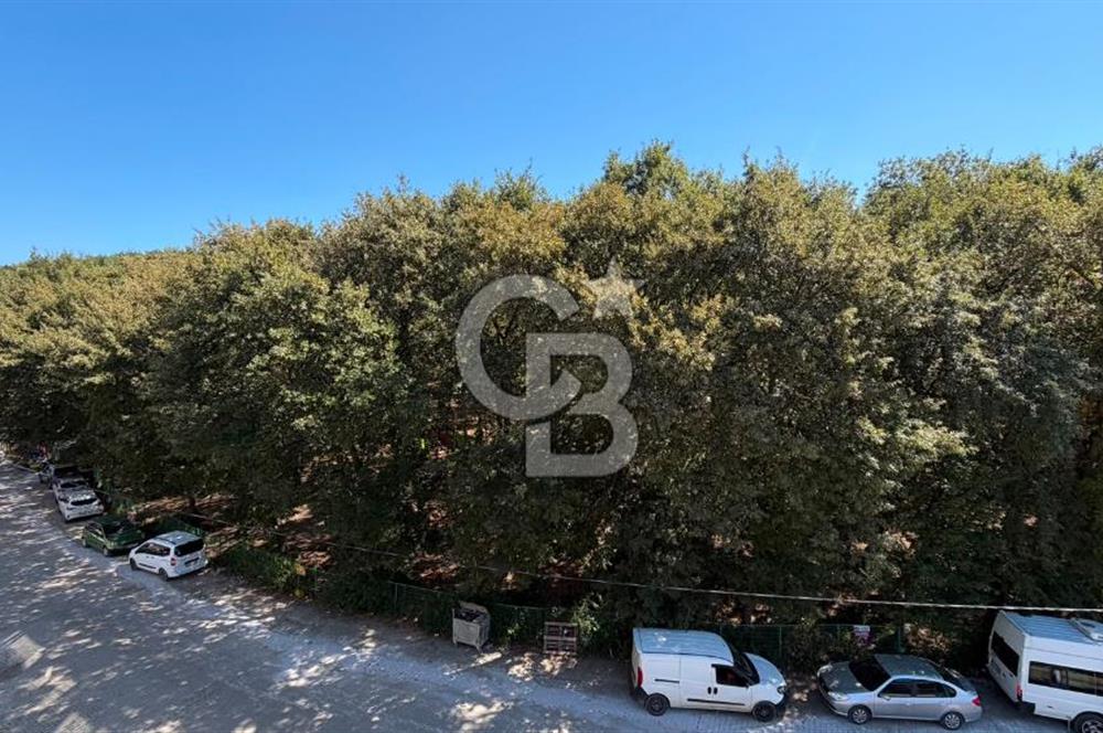 Atakum Kent Ormanına Cephe Doğa Manzaralı Satılık 1+1 Daire
