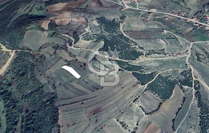 KOCAELİ KÖRFEZ ALİHOCALAR KÖYALTI MEVKİ DE SATILIK TARLA