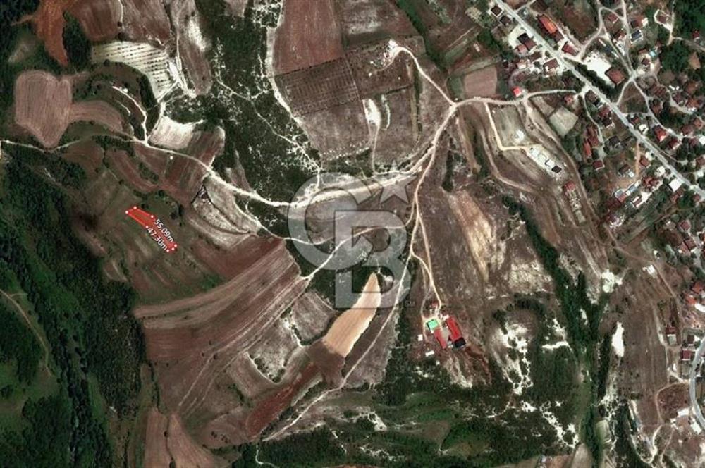 KOCAELİ KÖRFEZ ALİHOCALAR KÖYALTI MEVKİ DE SATILIK TARLA