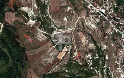 KOCAELİ KÖRFEZ ALİHOCALAR KÖYALTI MEVKİ DE SATILIK TARLA