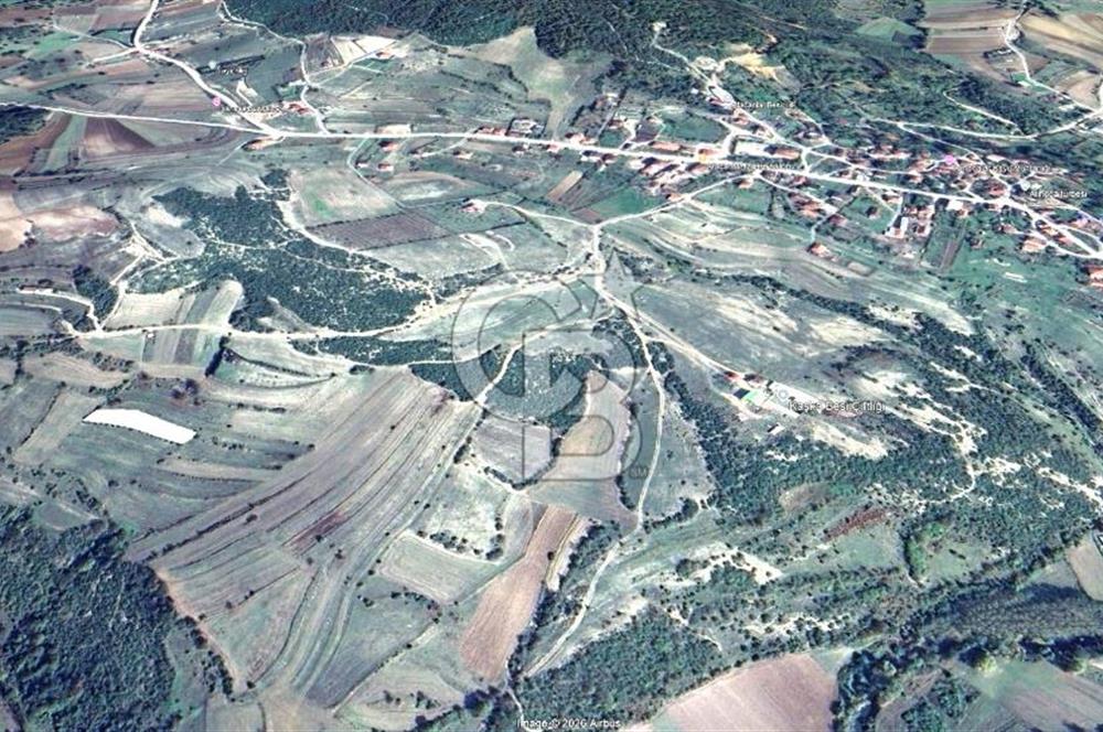 KOCAELİ KÖRFEZ ALİHOCALAR KÖYALTI MEVKİ DE SATILIK TARLA