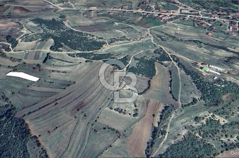 KOCAELİ KÖRFEZ ALİHOCALAR KÖYALTI MEVKİ DE SATILIK TARLA