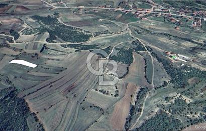 KOCAELİ KÖRFEZ ALİHOCALAR KÖYALTI MEVKİ DE SATILIK TARLA