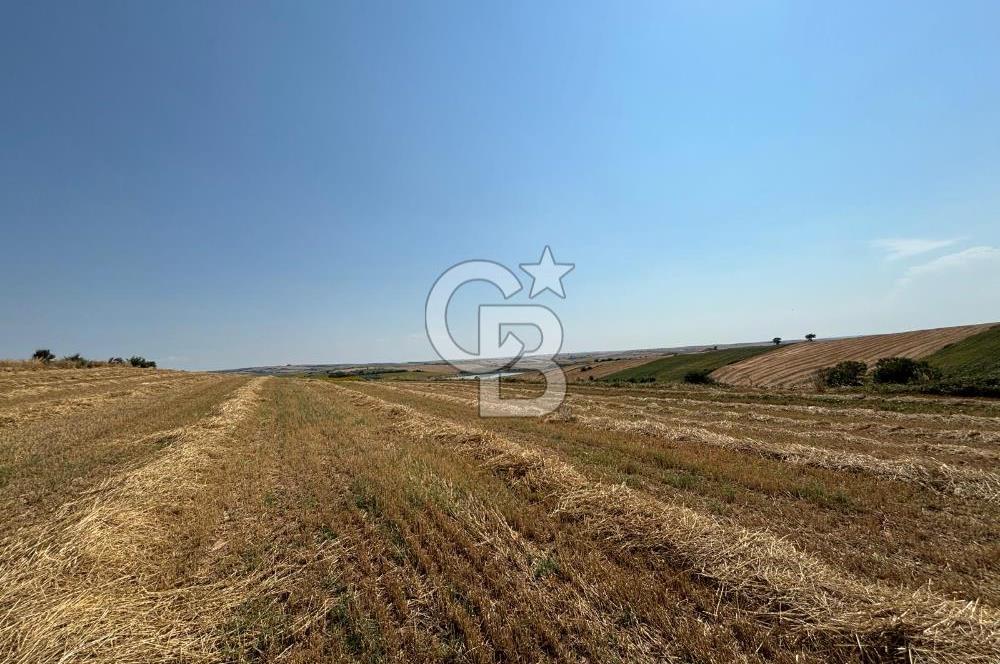 TEKİRDAĞ HAYRABOLU ÖVENLERDE 7.712 m² TEK TAPU SATILIK TARLA