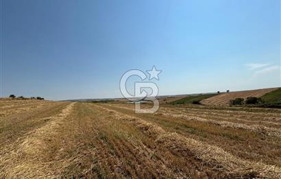 TEKİRDAĞ HAYRABOLU ÖVENLERDE 7.712 m² TEK TAPU SATILIK TARLA