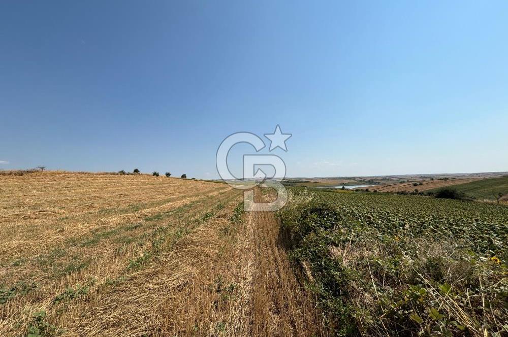 TEKİRDAĞ HAYRABOLU ÖVENLERDE 7.712 m² TEK TAPU SATILIK TARLA