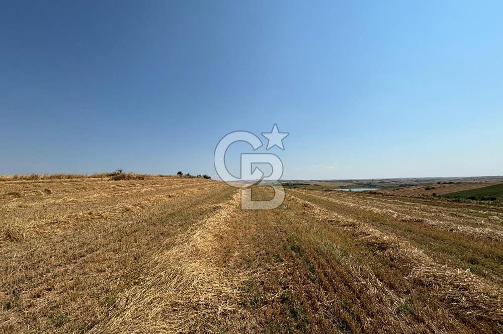 TEKİRDAĞ HAYRABOLU ÖVENLERDE 7.712 m² TEK TAPU SATILIK TARLA