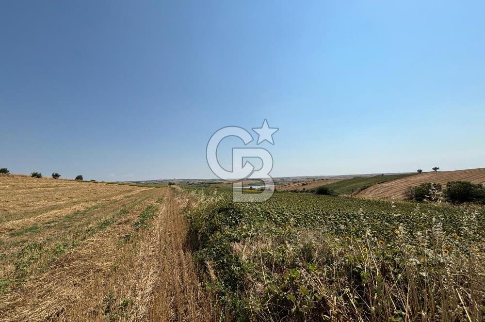 TEKİRDAĞ HAYRABOLU ÖVENLERDE 7.712 m² TEK TAPU SATILIK TARLA