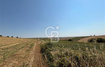 TEKİRDAĞ HAYRABOLU ÖVENLERDE 7.712 m² TEK TAPU SATILIK TARLA