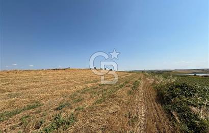 TEKİRDAĞ HAYRABOLU ÖVENLERDE 7.712 m² TEK TAPU SATILIK TARLA