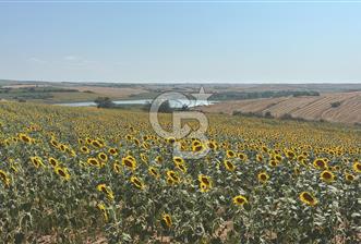 TEKİRDAĞ HAYRABOLU ÖVENLERDE 7.712 m² TEK TAPU SATILIK TARLA - 4 - 376130