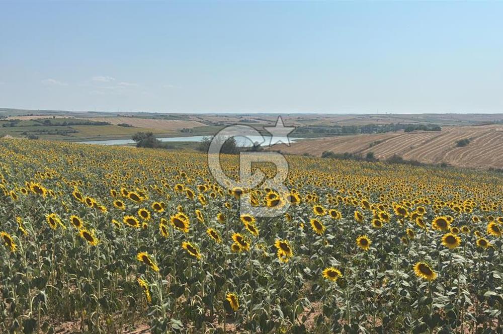 TEKİRDAĞ HAYRABOLU ÖVENLERDE 7.712 m² TEK TAPU SATILIK TARLA
